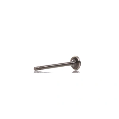Afbeelding van Uitlaatklep FRECCIA R4965/R
