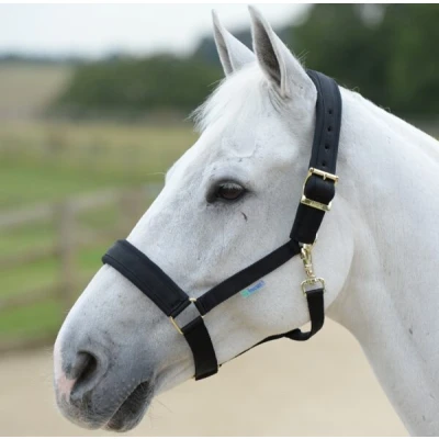 Image de Bucas Licol Comfort Noir Poney