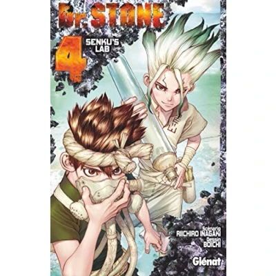 Afbeelding van DR STONE Tome 4