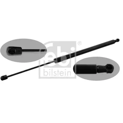 Afbeelding van Febi Bilstein Gasveer 47044