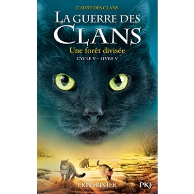 Afbeelding van ISBN 9782266294249 boek Frans Paperback 400 pagina&#039;s