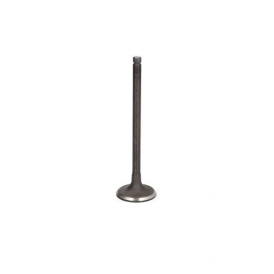 Afbeelding van FRECCIA R6813/SNT Inlaatklep 26,75 Klepsteel met nitraat verzien, Klepsteeleind gehard KIA: Picanto II