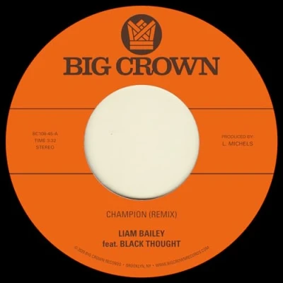 Afbeelding van Liam Bailey Champion / Ugly Truth (Single)