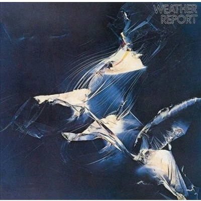 Afbeelding van Weather Report (2 LPs)