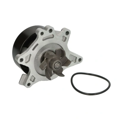 Afbeelding van DOLZ T230 Waterpomp TOYOTA: Corolla IX Hatchback, RAV4 II Off Road, Verso
