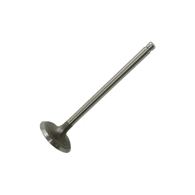 Afbeelding van Ae Inlaatklep V98007