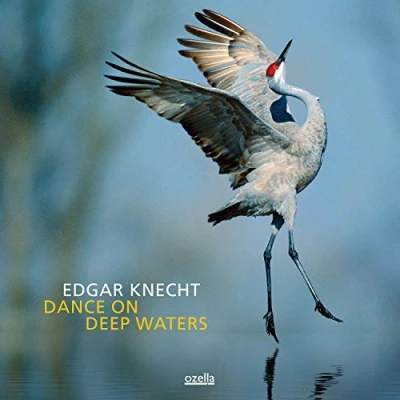 Afbeelding van Edgar Knecht Dance On Deep Waters (CD)