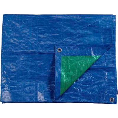 Afbeelding van Zonnetent EDM Dubbelzijdig Blauw Groen 90 g/m² 4 x 5 m