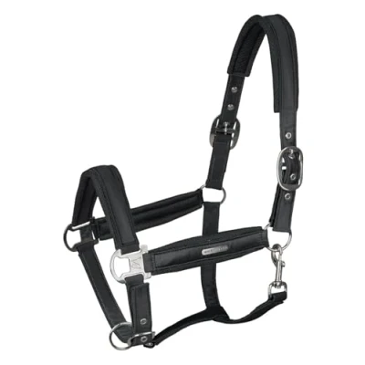 Image de Waldhausen Licol Mesh Noir Full