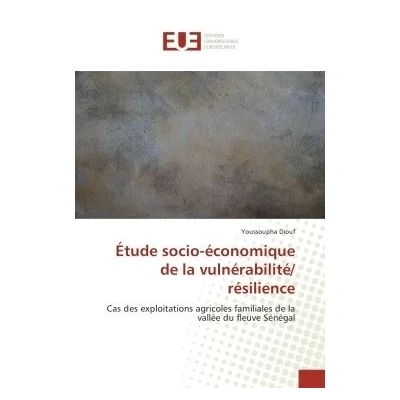 Image de Etude socio economique de la vulnerabilite/ resilience