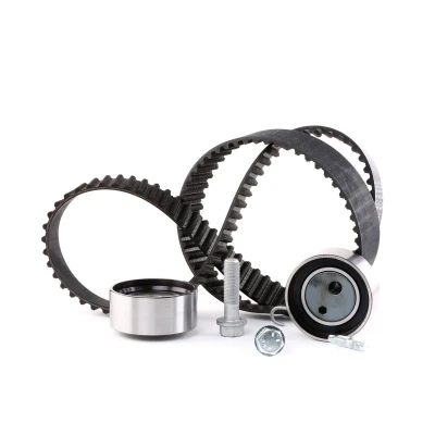 Afbeelding van Ina Distributieriem kit 530 0491 10