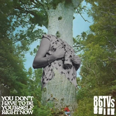 Afbeelding van 86tvs You Don T Have To Be Yourself