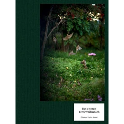 Afbeelding van Terri Weifenbach Des Oiseaux