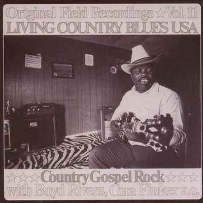 Afbeelding van Various Artists Living Country Blues USA Volume 11 (CD)