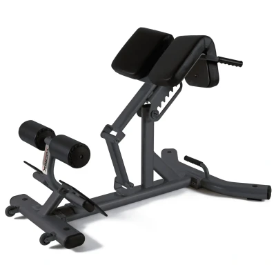 Afbeelding van Toorx Professional WBX B2600 Back Extension Roman Chair Verstelbaar