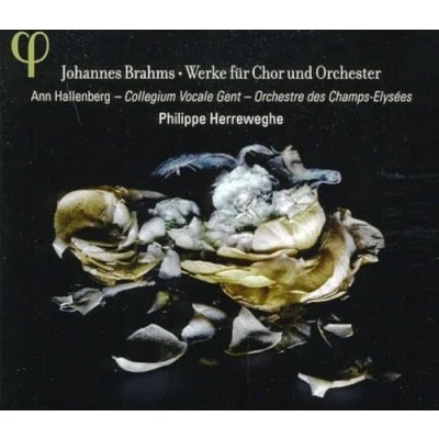 Afbeelding van P. / Collegium Vocale G Herreweghe Werke Für Chor Und Orchester (CD)