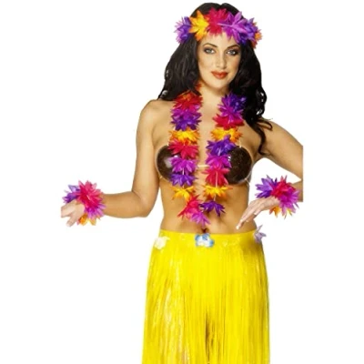 Afbeelding van Dressing Up &amp; Costumes Hawai Hawaiian Lei