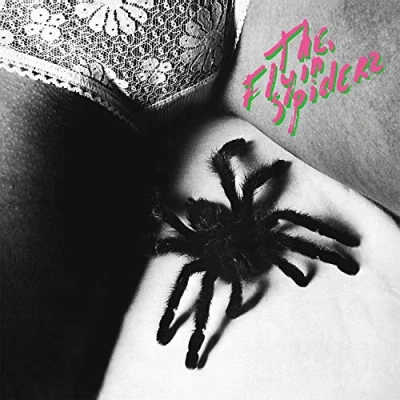 Afbeelding van The Flyin&#039; Spiderz (LP)