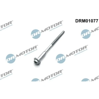 Afbeelding van Schroef, inspuitstukhouder Dr.Motor Automotive DRM01077