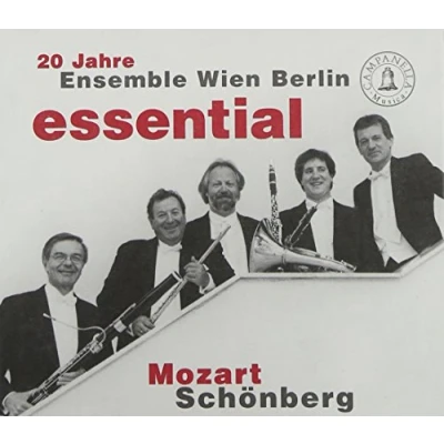Afbeelding van 20 Jahre Ensemble Wien Berlin Esse