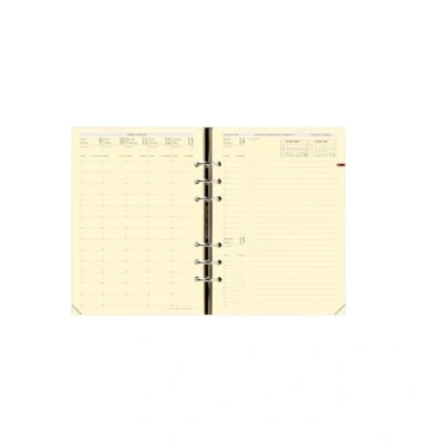 Image de Quo Vadis Recharge Organiseur 16 Mois / Timer 21