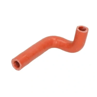 Afbeelding van THERMOTEC DCF063TT Laadluchtslang FIAT: Ducato II Platform/Chassis