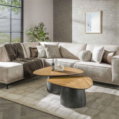 Afbeelding van Hoyz Collection Salontafel Infinite Gerecycled Teakhout Set van 2