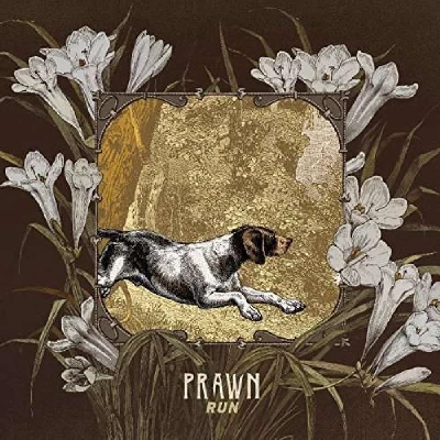 Afbeelding van Prawn Run (LP)