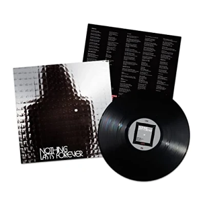 Afbeelding van Teenage Fanclub Nothing Lasts Forever (LP)