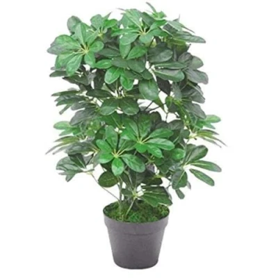 Afbeelding van Leaf Arboricola Kunstmatige groenblijvende plant, gouden struik, capella, 70 cm