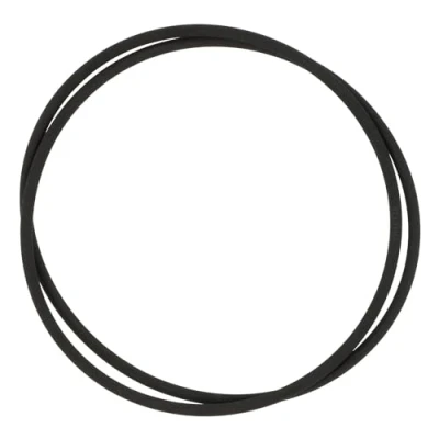 Afbeelding van THAKKER Precisieriem Geschikt voor Rega Planar P1 Vinyl Platina Long Life aandrijfriem uitstekende timingseigenschappen
