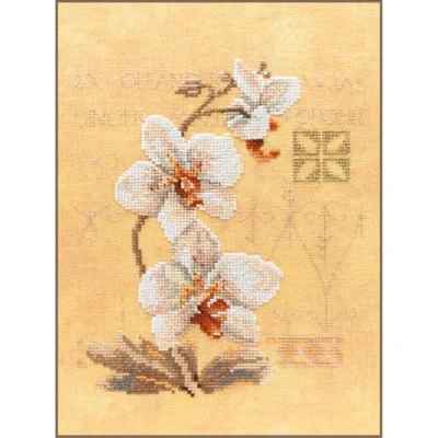 Afbeelding van Telpakket kit 3 Orchideeen Lanarte PN 0008008