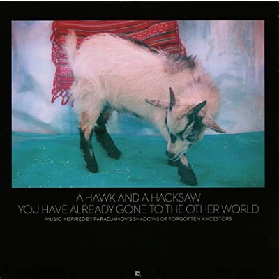Afbeelding van A Hawk And Hacksaw You Have Already (CD)