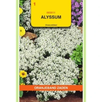 Afbeelding van Alyssum sneeuwkleed