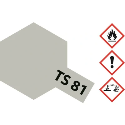 Afbeelding van TS 81 British Navy Grey matte 100ml Spray