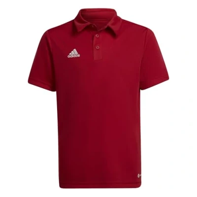 Afbeelding van adidas Entrada 22 Polo Youth Rode 116