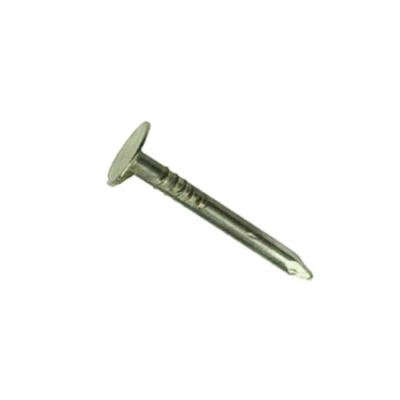 Afbeelding van Homefix asfaltnagel pk gegalvaniseerd 3 x 25 mm 350 gram