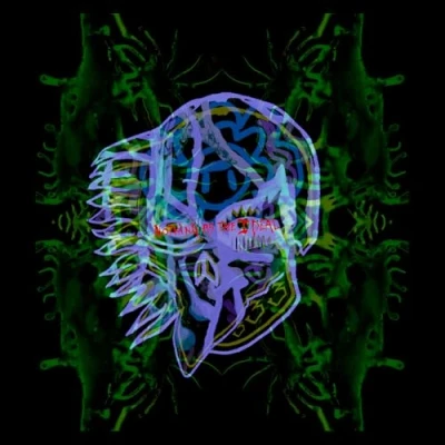 Afbeelding van All Them Witches Nothing As the Ideal (2 LPs)