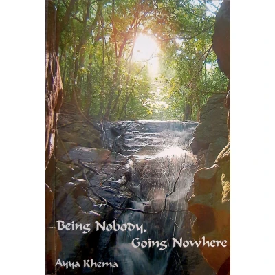 Afbeelding van Being Nobody, Going Nowhere