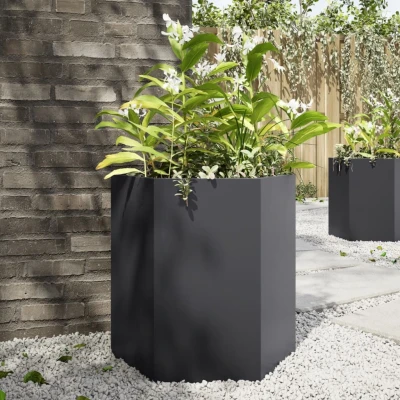 Afbeelding van vidaXL Plantenbakken 2 st zeshoek 46x40x45 cm staal zwart
