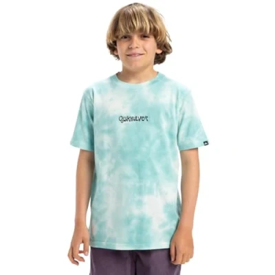 Afbeelding van Quiksilver FROG Ritual TEE Youth Unisex Tshirt print voor kinderen, Maat: 128, Marine blue