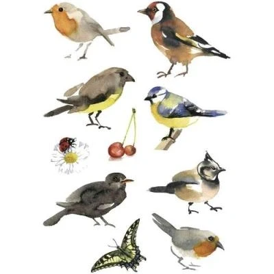 Image de Herma sticker decor oiseaux aquarelle 3 planches de 10 sticks 3351