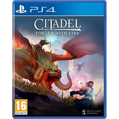 Afbeelding van Citadel Forged with Fire PS4