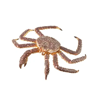 Afbeelding van Collecta Speelfiguur Krab Rood 12 X 4 Cm