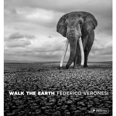 Afbeelding van Walk the Earth