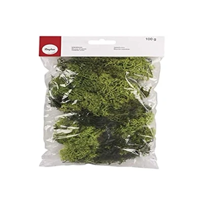 Image de Rayher 8503211 Mousse d&#039;Islande décorative, pour diverses idées de déco, sct 100 g, vert clair