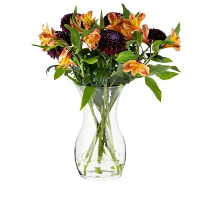Afbeelding van TREND FOR HOME bloemenvaas 25 cm tulpenvaas van glas voor bloemen, decoratief, glas, decoratie slaapkamer, transparante ø 14 2410 ml Lily