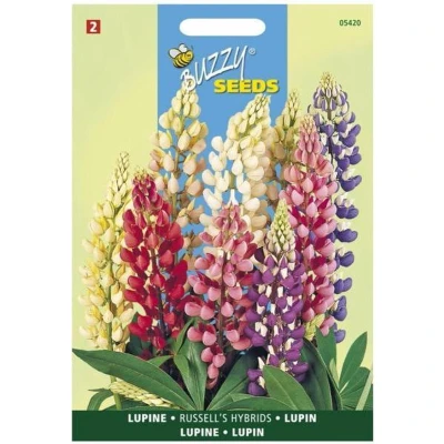 Afbeelding van Lupinus polyphyllus Russell s Hybriden Gemengd Buzzy