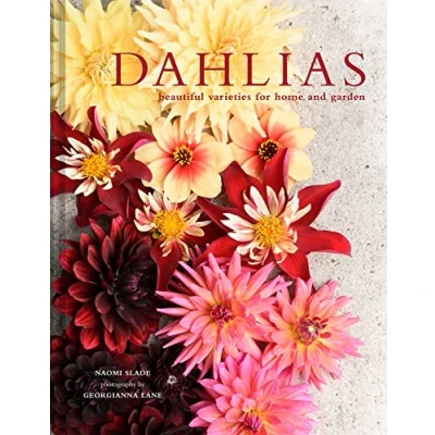 Afbeelding van Dahlias
