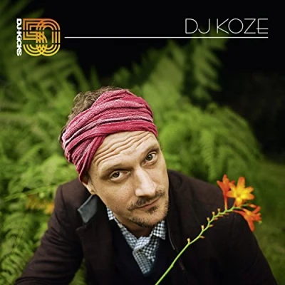 Afbeelding van DJ Koze Kicks: (2 LPs)
